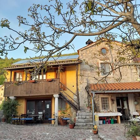 Hostel Xaxid Črni Kal المظهر الخارجي الصورة